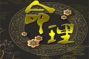 崔文举催老师盲派上课学员笔记21份