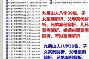 盲派命理技法九岳山人八字39集
