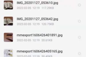 惭愧学人破解段氏盲派轶例集命例断语视频17集