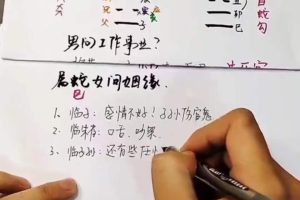 梅花五瓣开《梅花六爻教学视频》24集