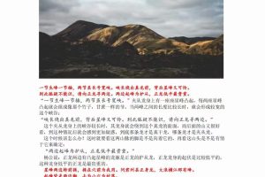 林来锦杨公风水疑龙经教材➕20集同步视频