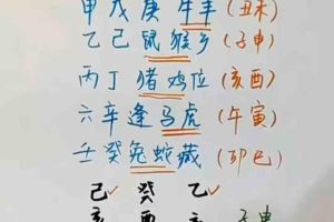 梅花五瓣开老师姓名学教学视频55集