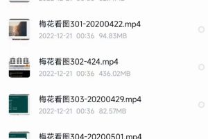 黄石易老师2020年《梅花看图》教学课程视频
