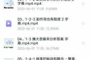圆圆—决策派六爻一阶+二阶研讨