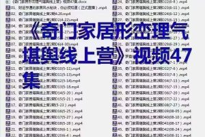 林毅阳宅风水《奇门家居形峦理气堪舆线上营》