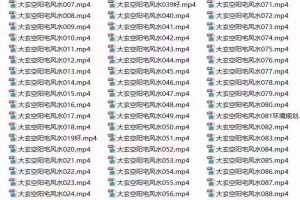 杜彦霖弟子蔡于阳大玄空风水初‬级班44讲+高级班90讲