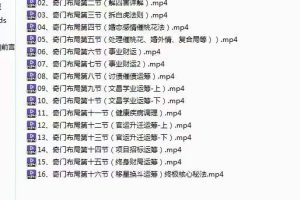 凌依宸：道家阴盘奇门布局运筹化解课程16集