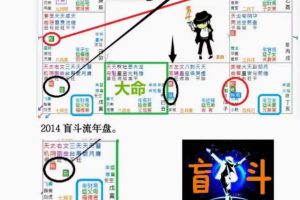 正吉居士-盲派绝密 上下两册