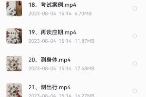 古法梅花讲解24集
