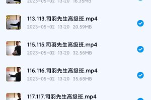 司羽先生数字高级班