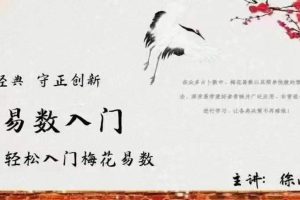 徐丙昕梅花易数中级班视频12集+徐丙昕梅花易数入门视频26集