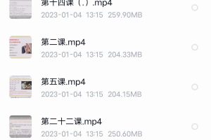 2021年曲炜道家八字论命术视频24集