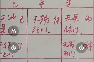 飞鱼奇门内部课程合集