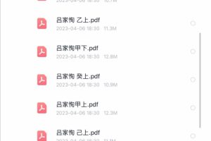 吕家恂10天干20本​