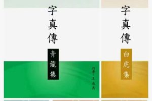 王成义  五行八字真传集五本一套