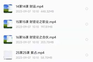 大花钦天四化紫微斗数25集视频