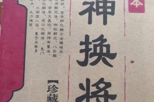 冯化成《移神换将》