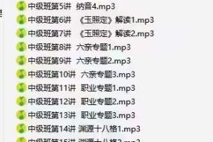 客舟堂子平命理初级录音文档+中级录音文档