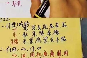 梅花五瓣开姓名学