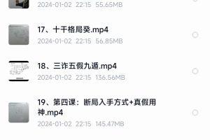 左耶老道《2023年奇门遁甲线上初级班》视频课程30集