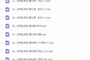 刘一龙《周易梅花易数体用生克法》视频课程