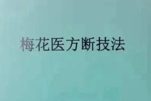 陈春林老师梅花医方断技法