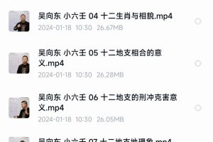 吴向东四盘小六壬视频42集