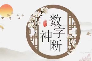 数字神断高级班《三角定律数字神断高级班》91集