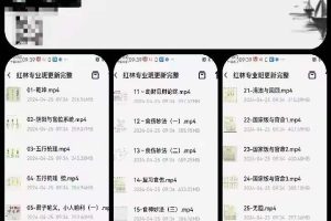 ​红林老最师‬新命理专业班40集