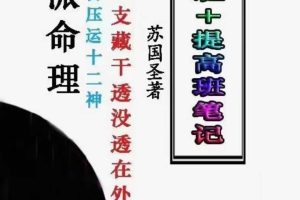 苏国胜盲派命理2021年高级班＋提高班笔记